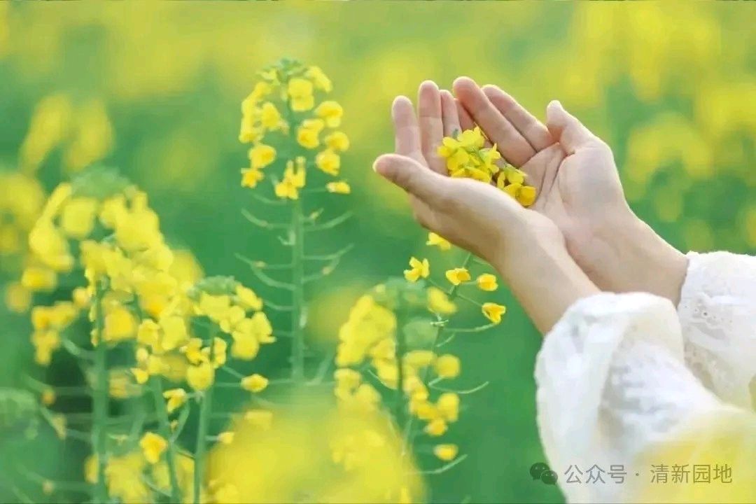 聆听 ‖ 爱玲朗诵《远行》作者/蒲扇（图4）