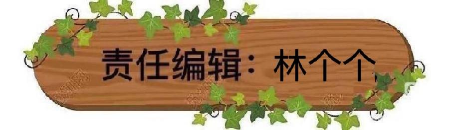 东渡诗社：十二月刊（总期第五十五期）2024年｜海外头条（图31）