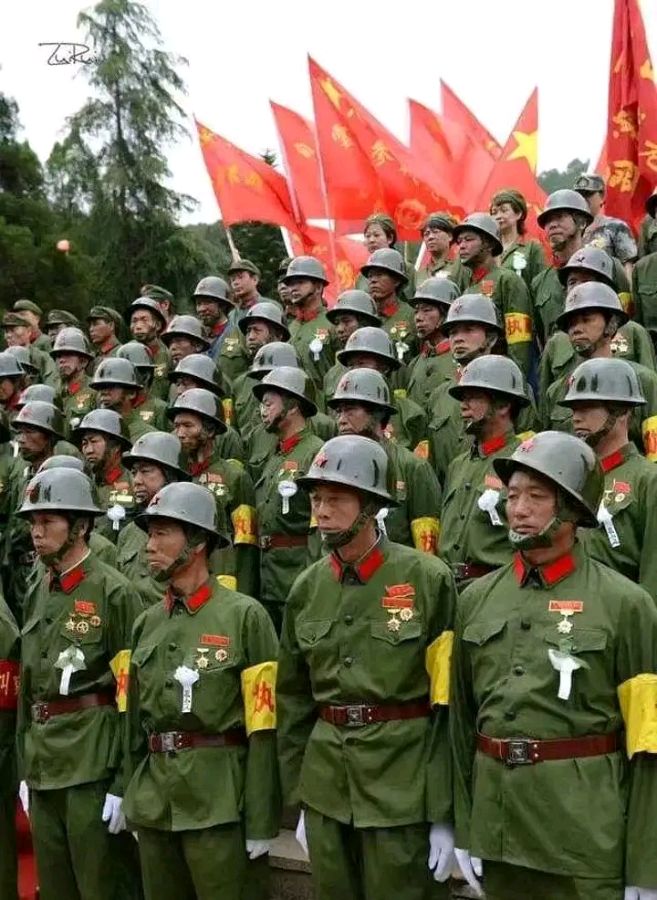 聆听 ‖ 凤凰之歌朗诵《震撼心灵的吻》作者/蒲扇（图7）