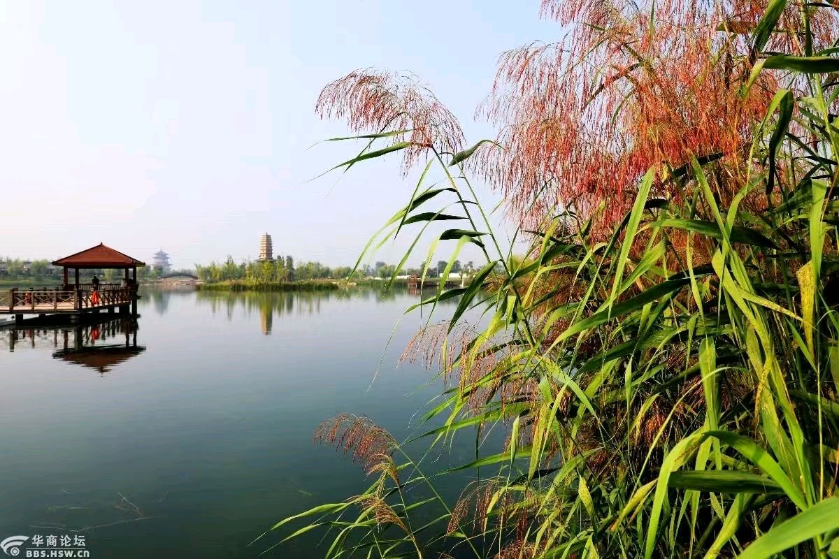 《九江文学社：北京头条》优秀高产诗人张维清先生近期诗歌集萃（图5）
