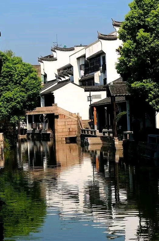 《九江文学社：北京头条》优秀高产诗人张维清先生近期诗歌集萃（图7）