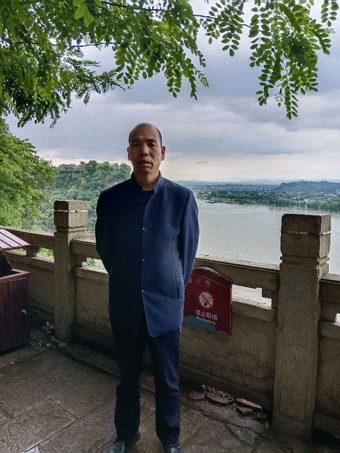 作家美诗 杨占礼诗歌 你轻轻的走了（图4）