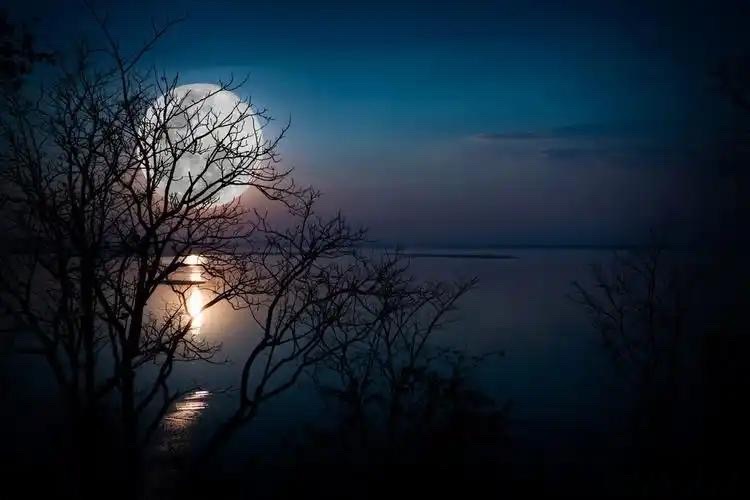 【新诗大观】夜的守望者||文/老波（图3）