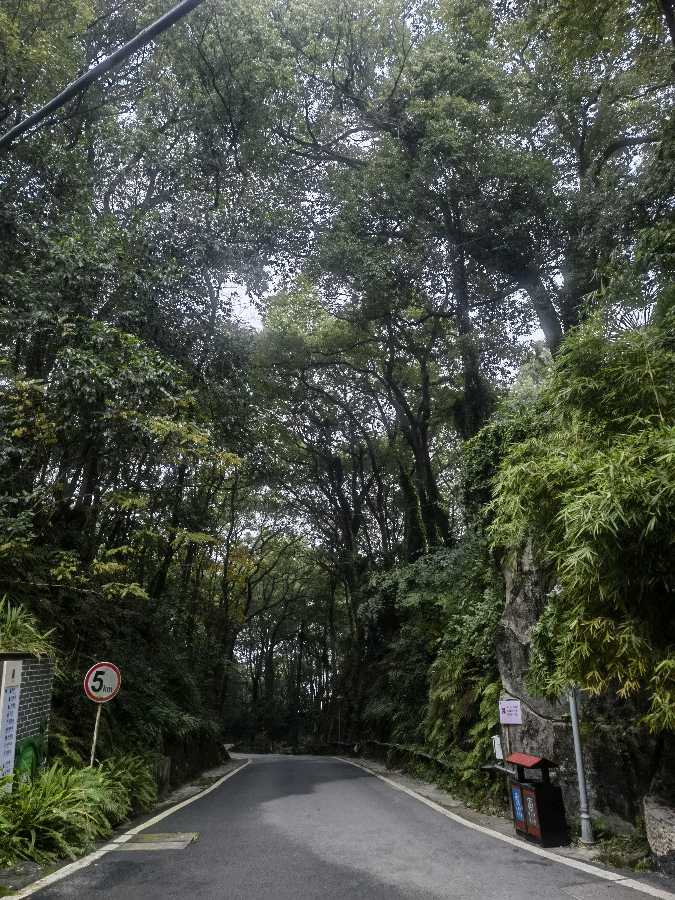 「游记散文」重游南山疗养院（图17）