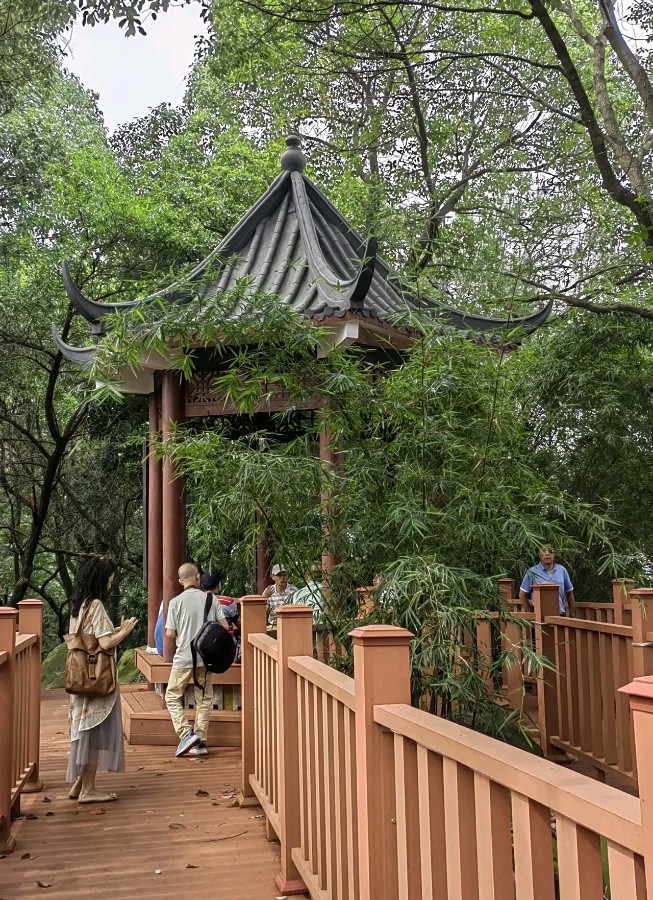 「游记散文」重游南山疗养院（图6）