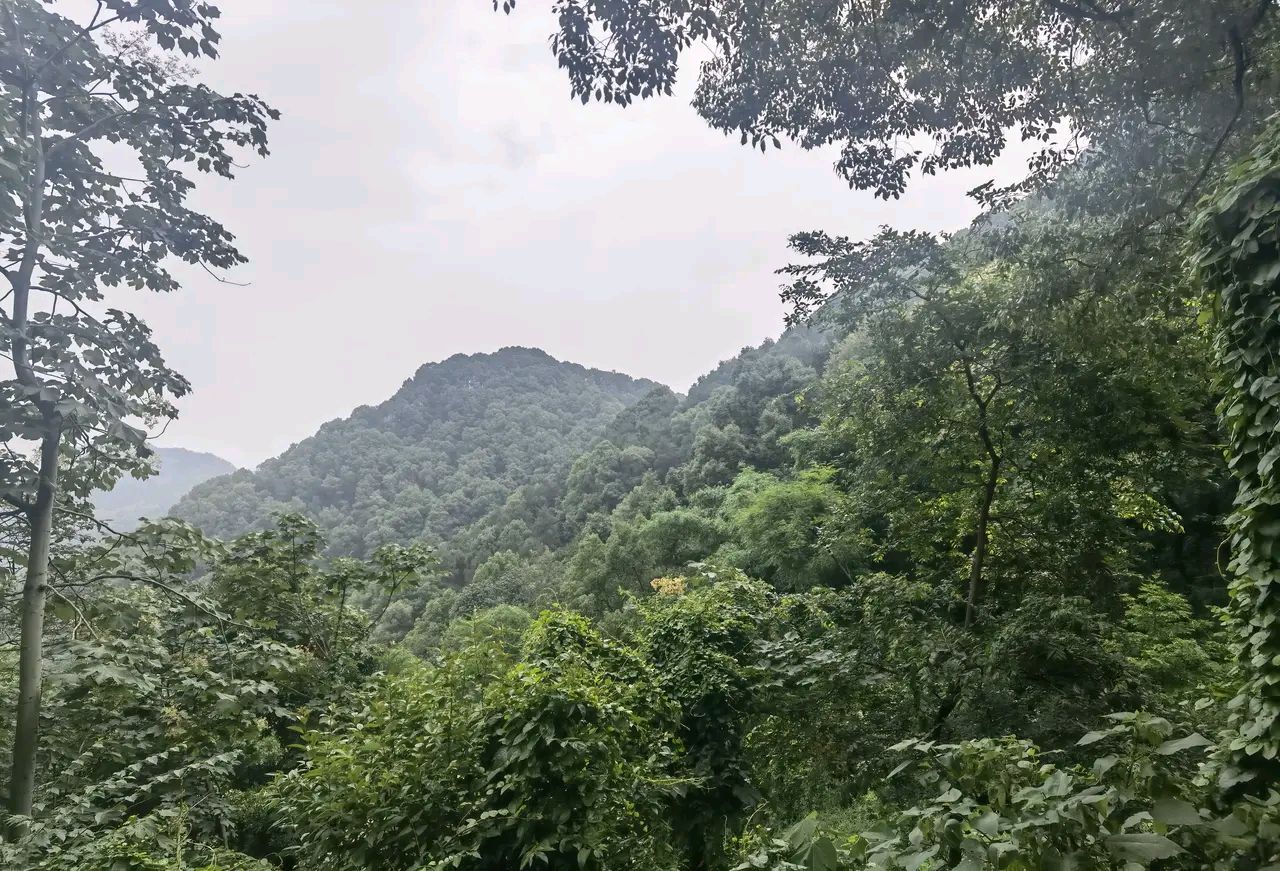 「游记散文」重游南山疗养院