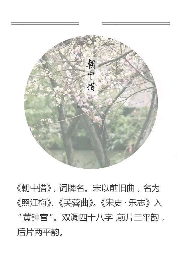 《灵魂之爱，一生相惜》作者:龙游天下 诵读:李淑良 [中国现代诗歌文化传媒]（图7）
