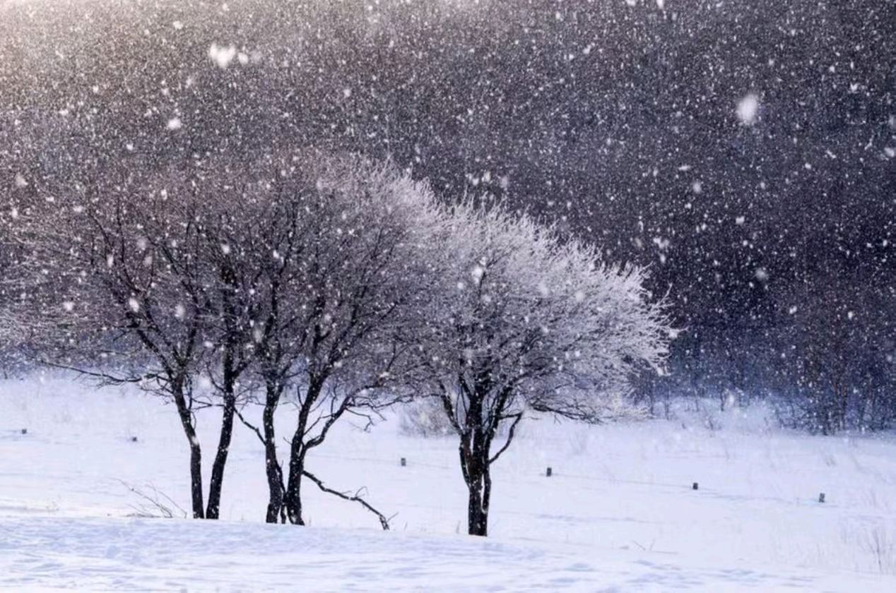 雪花唤起的记忆