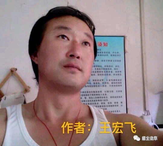 岸芷汀兰文学社第44期(图53)