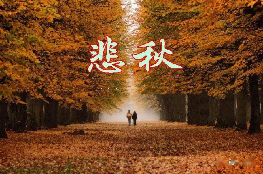 徐州诗人—芙蕖— 四阙小词｜海外头条（图8）