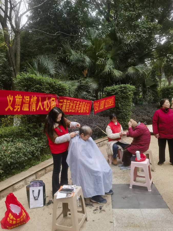 「散文诗」银杏树下学雷锋(图5)