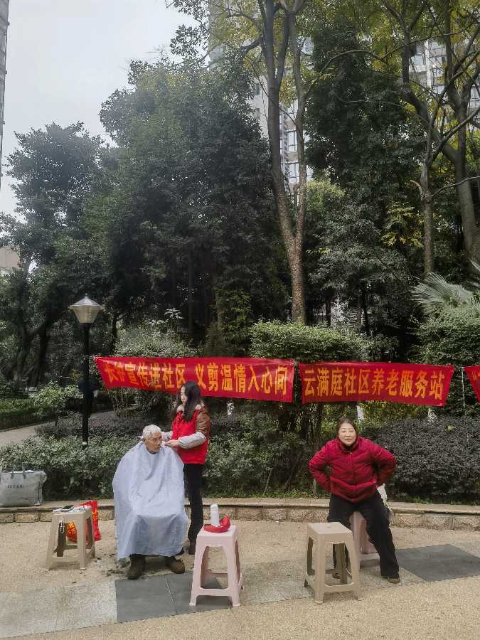 「散文诗」银杏树下学雷锋（图9）