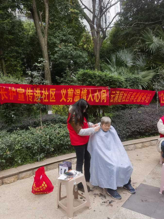 「散文诗」银杏树下学雷锋(图10)