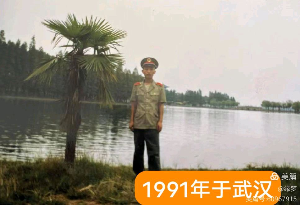 《鹧鹄天.题图诗.冬柳》（图3）
