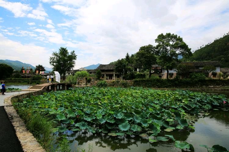 【重磅推出 文学天地】刘光斌//故土五味（之四）（图12）