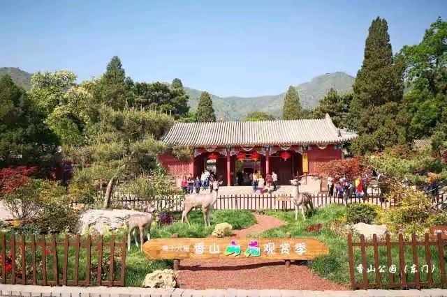 【北京香山（公园）红叶诗集】作者/红色文化站长/润牙子（图15）