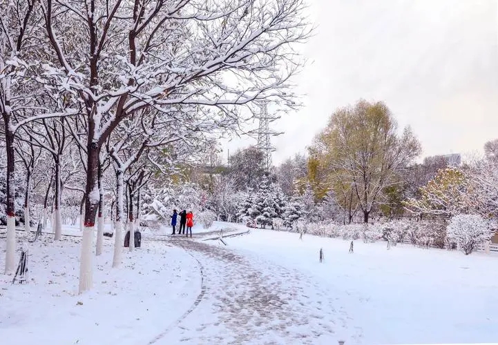 初雪.webp 初雪.webp