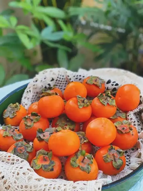 聆听 ‖ 王大生老师作品《我们的那片芳草地》独诵/李彦玲 合诵/王玉洁 无心（图10）