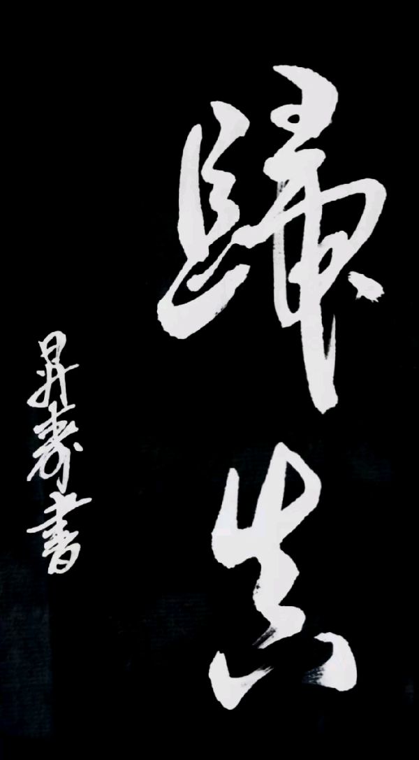 莫道桑榆晚 为霞尚满天∥李昇寿老先生书画唯美佳作欣赏∥中国桂林都市漓江诗书画社微刊第223期∥书法江湖第16期（图52）