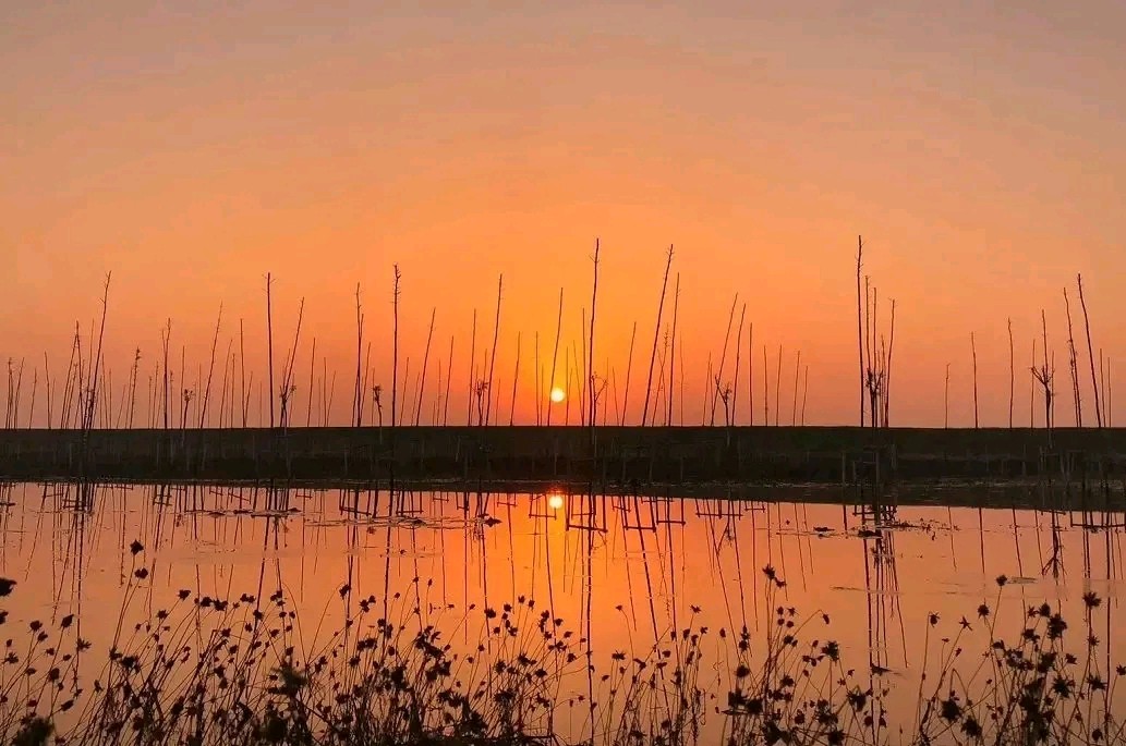 傍晚散步有感（原创） 文/曹静实（陕西）（图4）