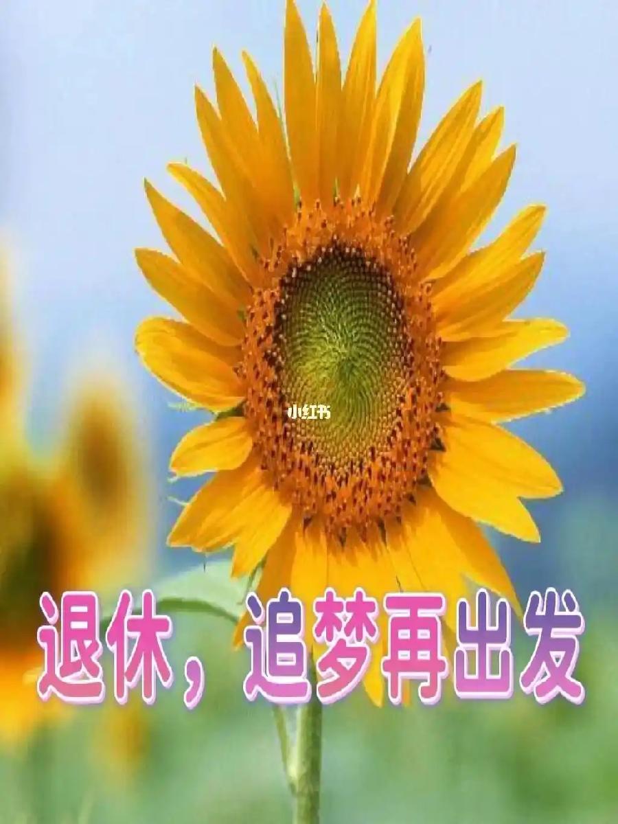 退休感怀：作者||赵书平｜海外头条（图5）