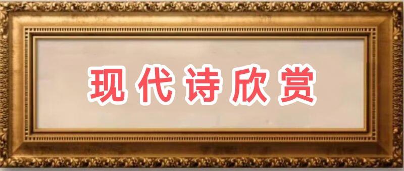 【新诗】赵春和:幸福/中华诗艺社黑龙江分社推荐（图4）