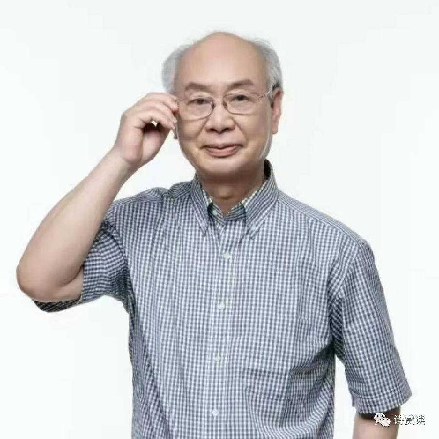 华万里：《微风起自怀念》海外头条（图6）