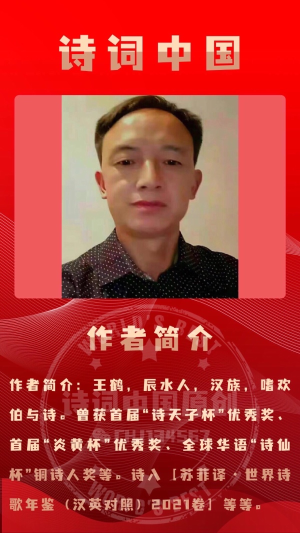 【诗词中国】精品佳作《辰水秋沙鸭》（外一首）作者：王鹤（图7）