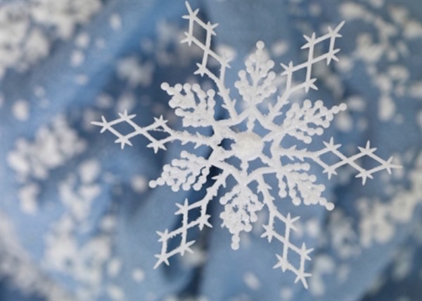 【新诗大观】雪花||文/李志亮||诵/文嘉（图2）