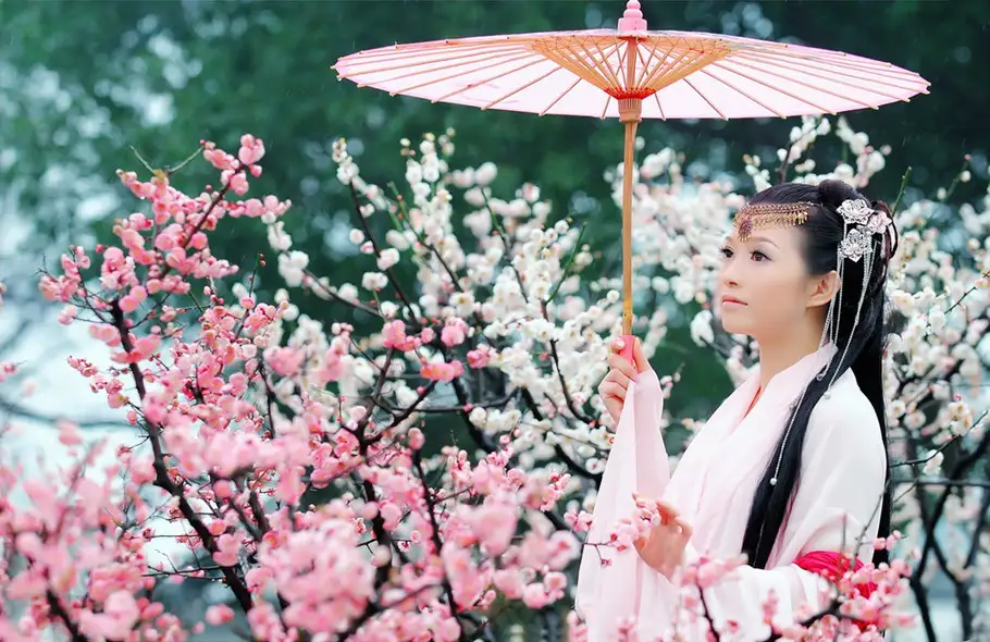 【新山东文学社】《心中若有桃花源,人生处处飞彩虹》作者/子兰 主播/墨兰(图3)