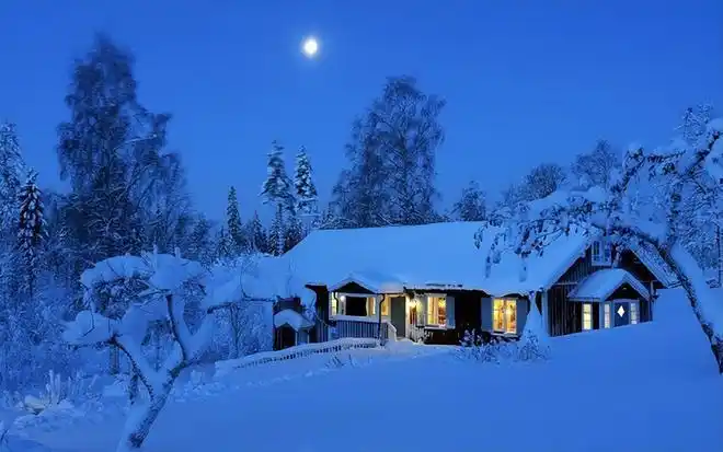 王金政的《北方夜雪》