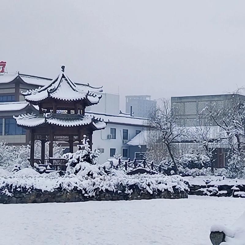 冬至（外一首）：作者||马喜军｜海外头条（图6）
