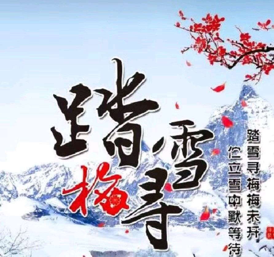 【冬韵抒怀】鲁坡//三冬心暖问君安[山登绝顶我为峰]系列作品展（图10）