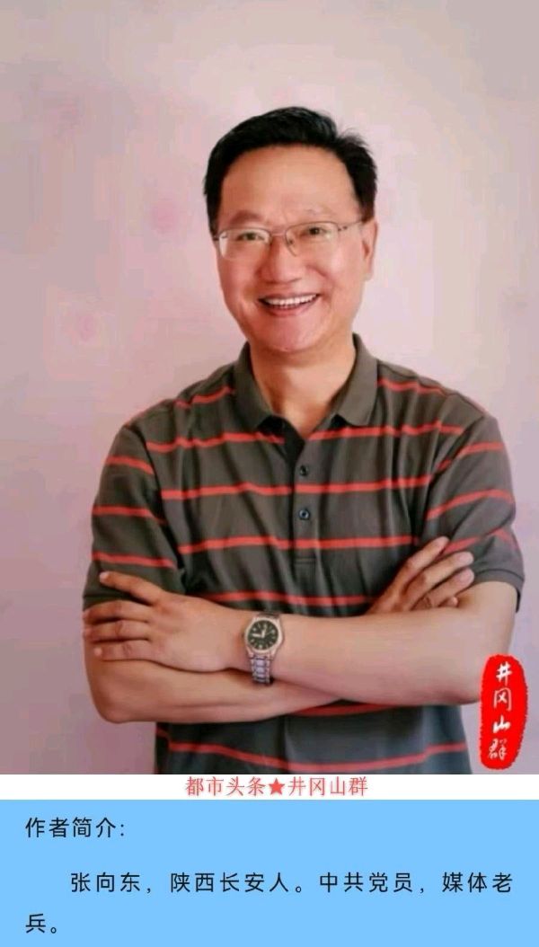 随笔感怀诗三首～诗||张向东（图20）