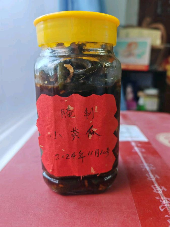【都市头条向幸福出发编辑部】第12887期 充实欢度夕阳红 孙连芳