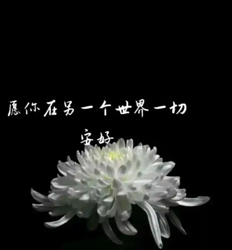 【悼念张智财前辈】作者/润牙子（图6）
