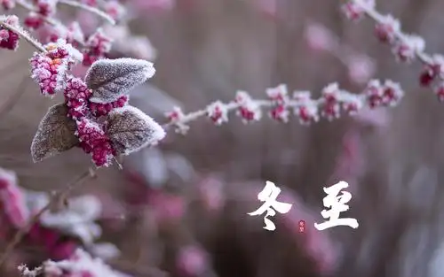 古风-冬至吟怀（组合）诗||于兴庆（图17）