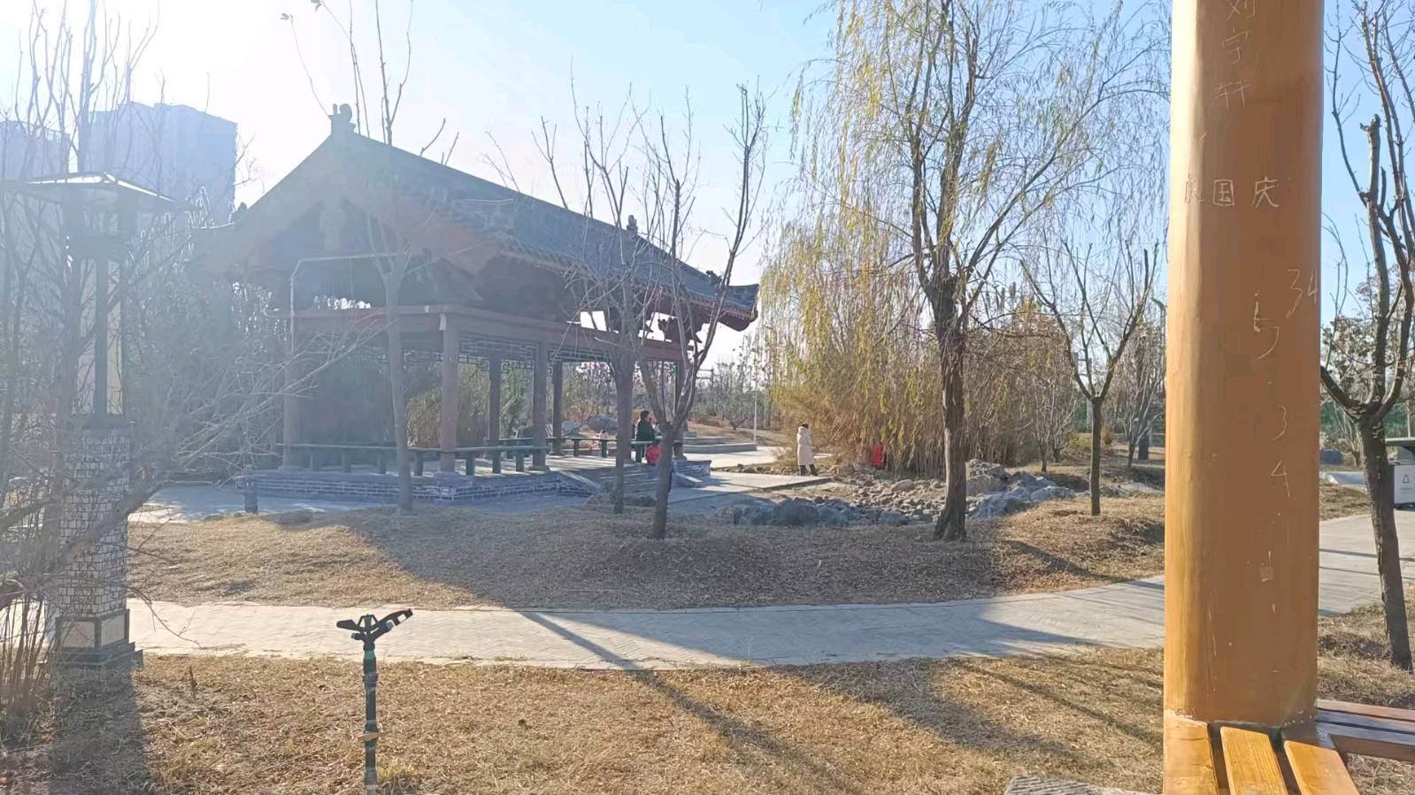 冬至午后路过随进独乐园 原作/梁立锋（图15）