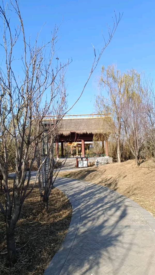 冬至午后路过随进独乐园 原作/梁立锋（图5）