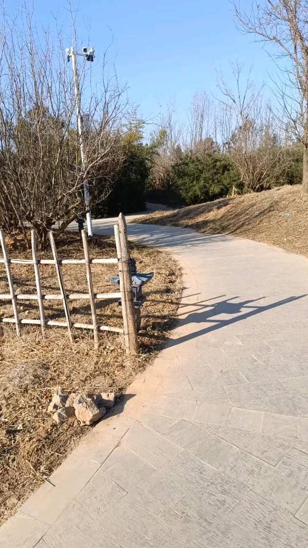 冬至午后路过随进独乐园 原作/梁立锋（图7）