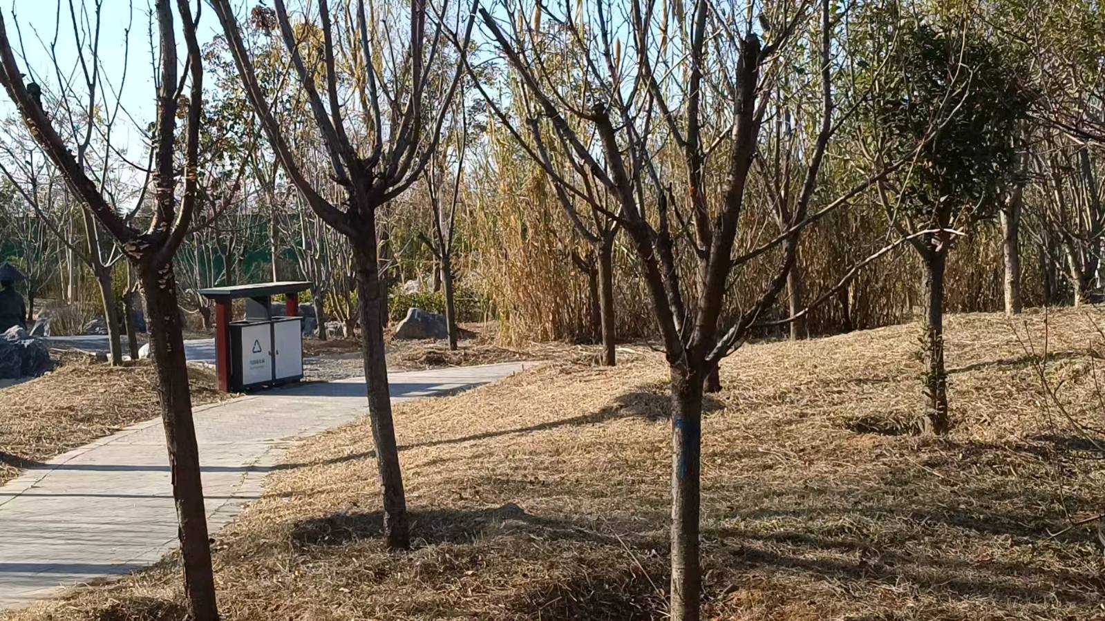 冬至午后路过随进独乐园 原作/梁立锋（图13）