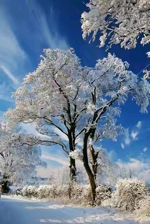 【5591】戚绍江诗作《冬至》（图2）