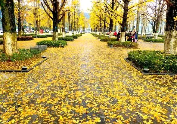 「散文诗」今日冬至，冬至有趣（图6）