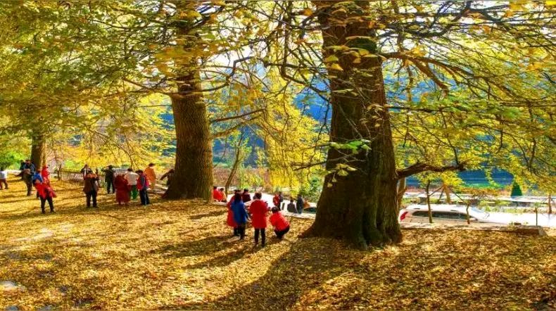 「散文诗」今日冬至，冬至有趣（图5）