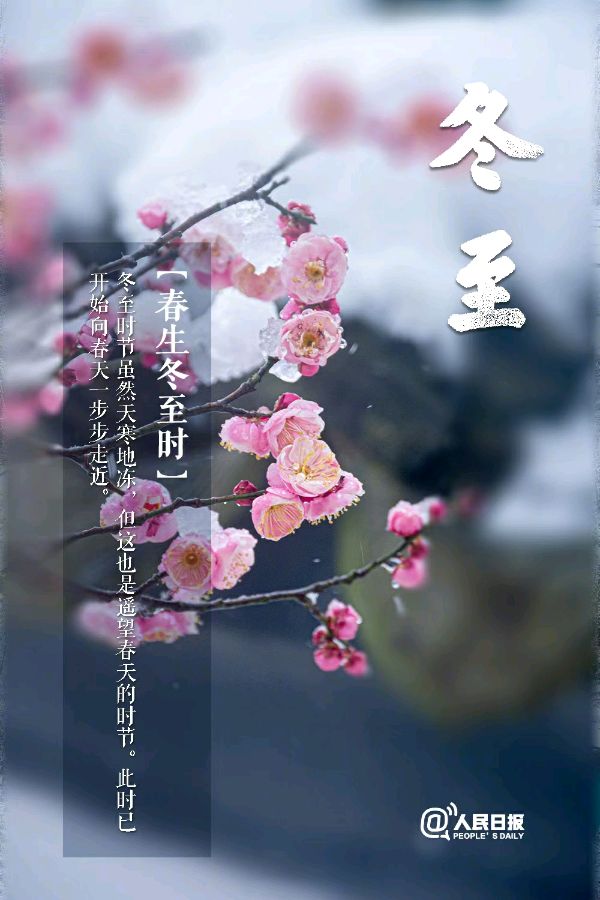 「散文诗」今日冬至，冬至有趣（图10）