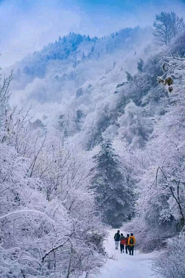 七律-雪冬吟（外一首）诗||吕志学（图17）