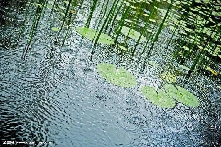 觅真：《小绿芽的轮回》（外七首）海外头条（图7）