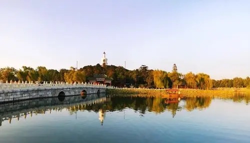 觅真：《小绿芽的轮回》（外七首）海外头条（图8）