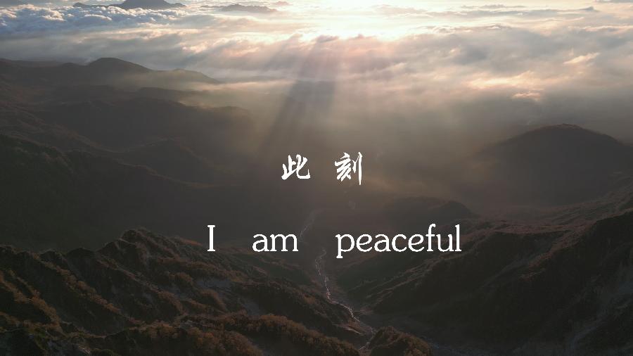 觅真：《小绿芽的轮回》（外七首）海外头条（图10）