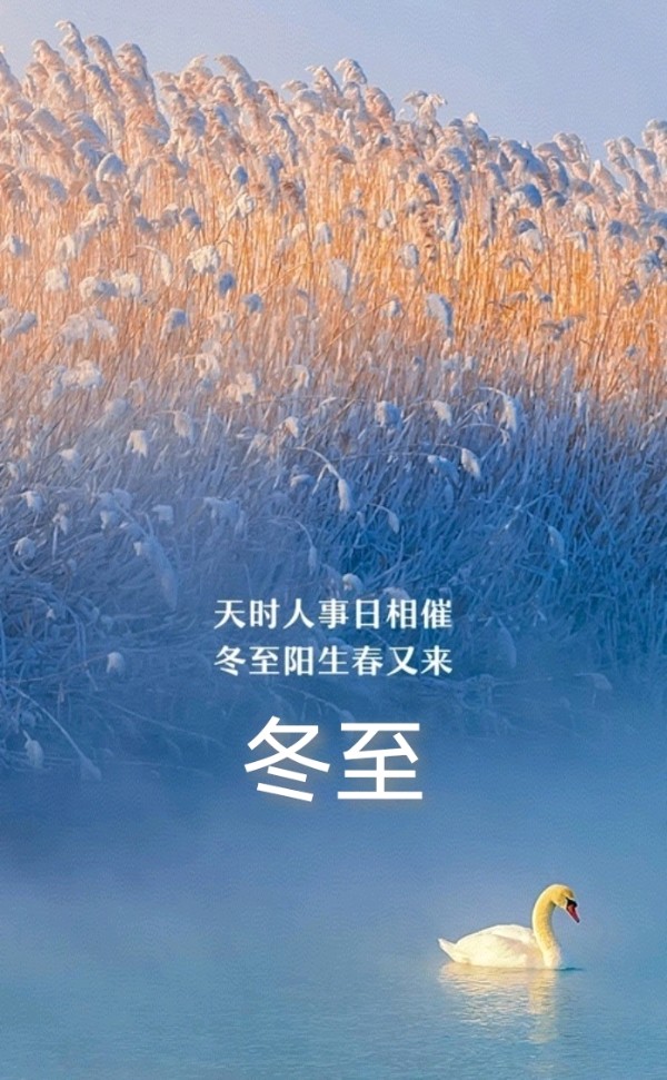 荐赏《新华文学社》驻社会员【冬至同题】佳作荟萃/编辑：文苑牧童/都市头条（图6）